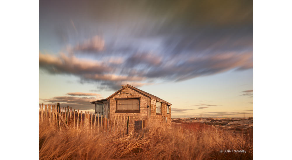 Pegs  Shack