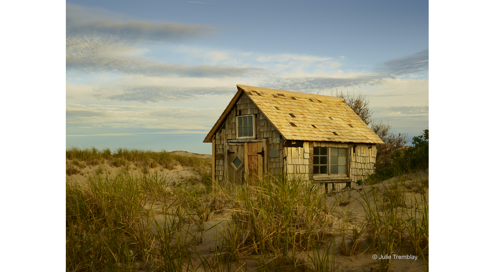 Most Popular/ stock items Tasha Dune Shack