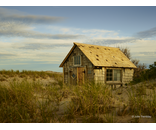 Most Popular/ stock items Tasha Dune Shack