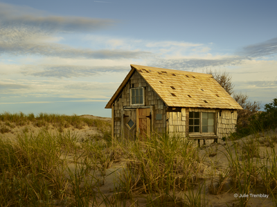 Tasha Dune Shack