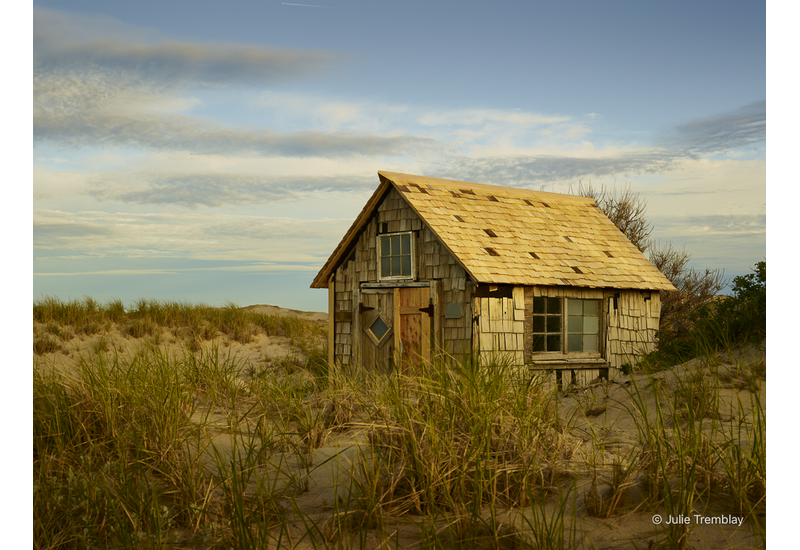 Most Popular/ stock items Tasha Dune Shack