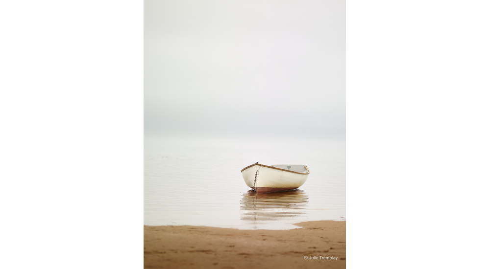 Most Popular/ stock items Cape Dame 2 /Limited Edition/250