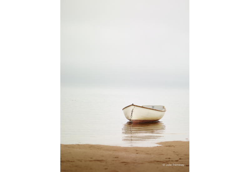 Most Popular/ stock items Cape Dame 2 /Limited Edition/250