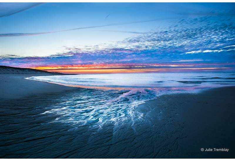 Most Popular/ stock items Water Fingers