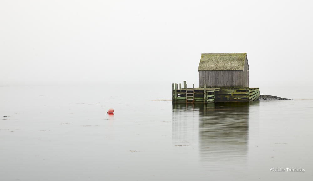 Most Popular/ stock items Tackle House