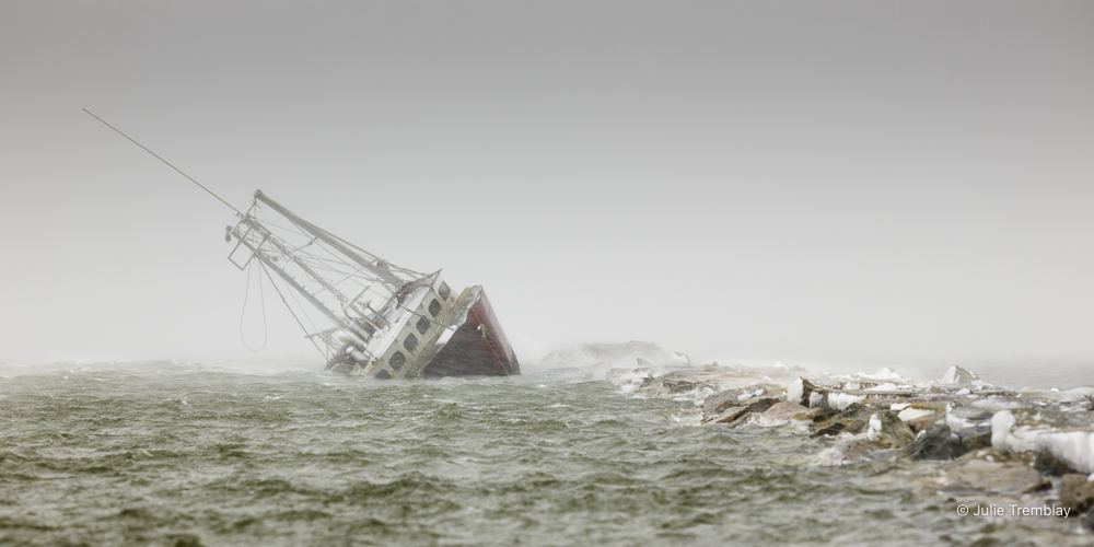 Most Popular/ stock items Artemis