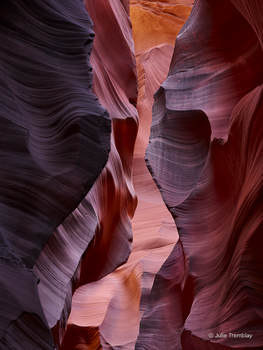 Lower Antelope