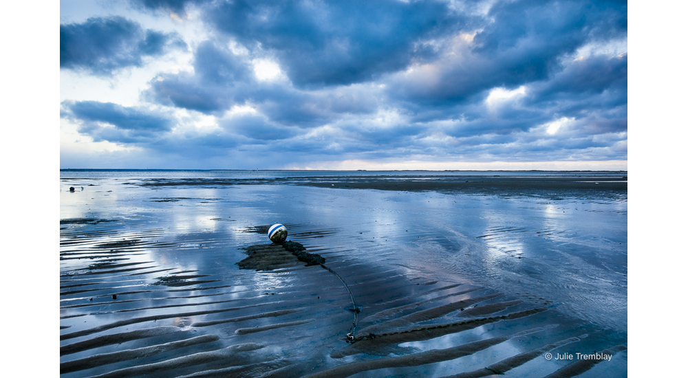 Most Popular/ stock items Buoy