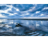 Most Popular/ stock items Buoy