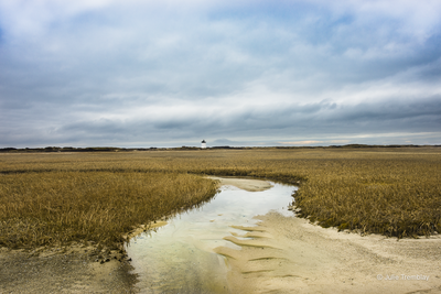 Light House Path