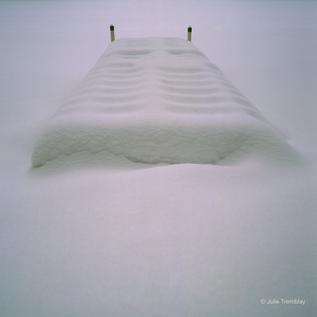Winter Dock