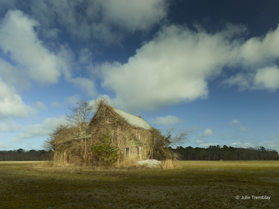 Old Farmhouse