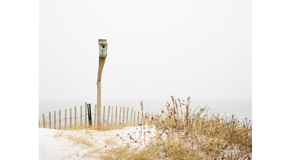 Birdhouse