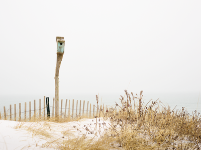 Birdhouse