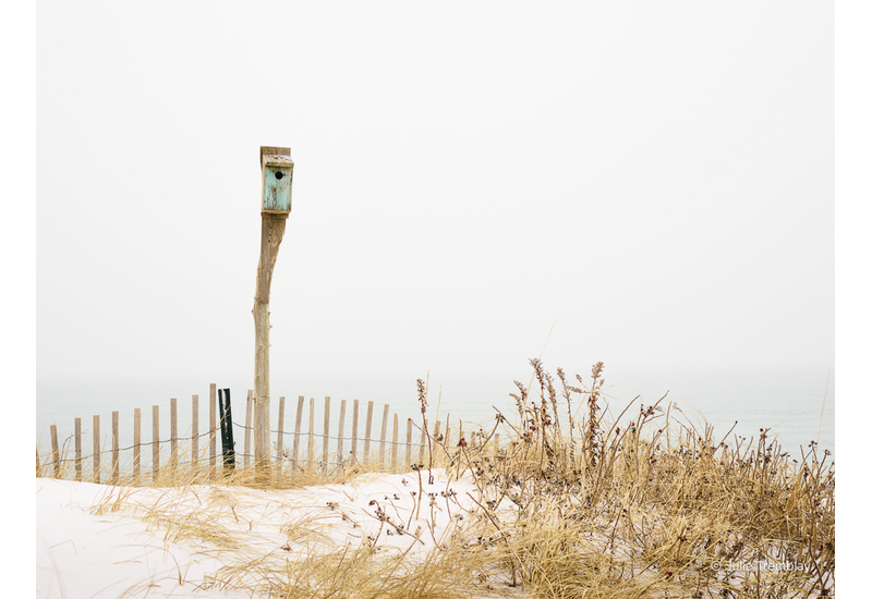 Birdhouse