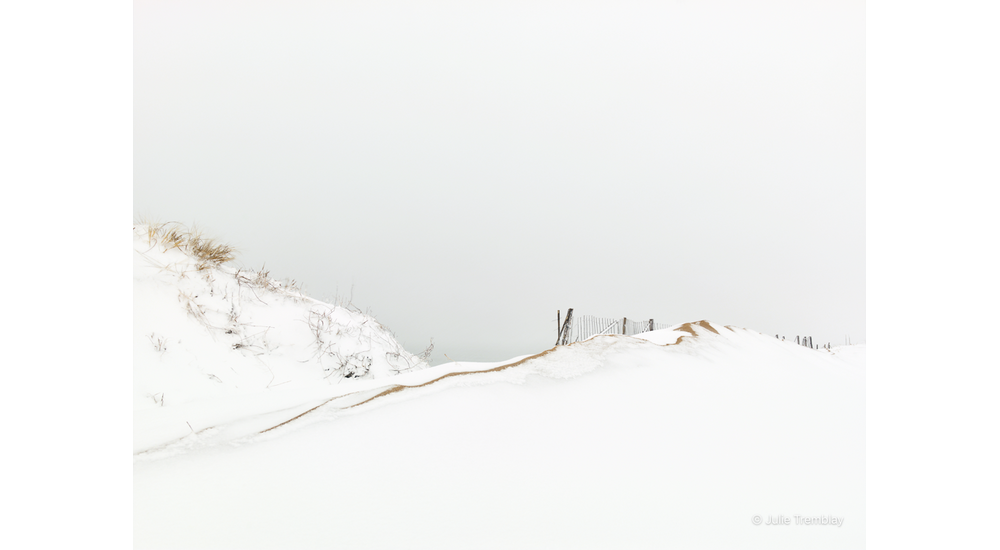 Snowline
