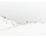 Snowline