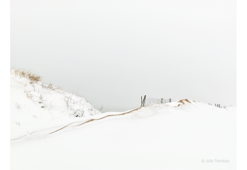 Snowline