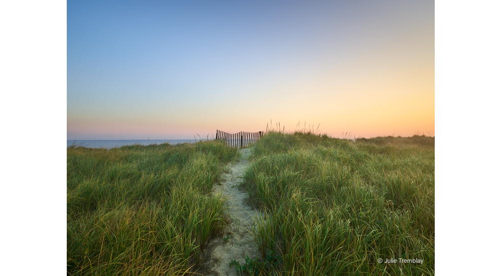 Path
