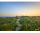 Path