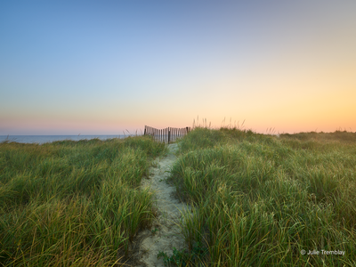 Path