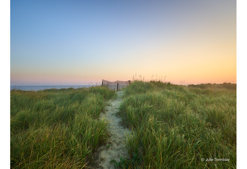 Path