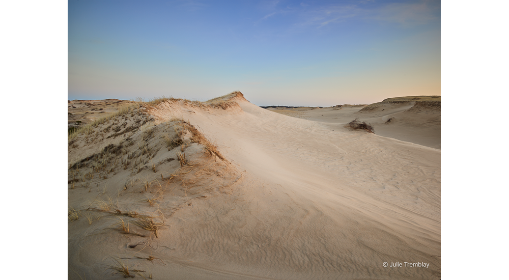 Sand Dune