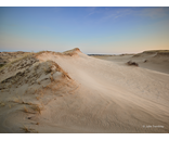 Sand Dune