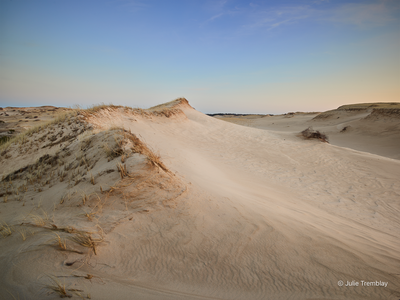 Sand Dune
