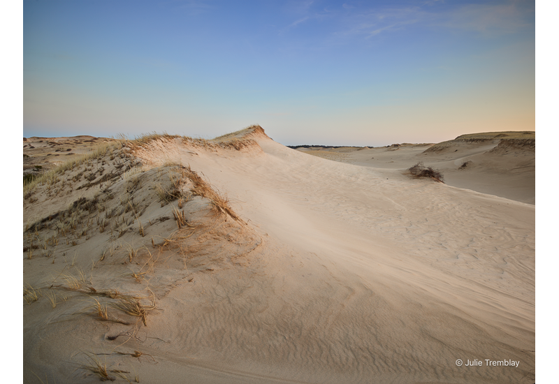 Sand Dune