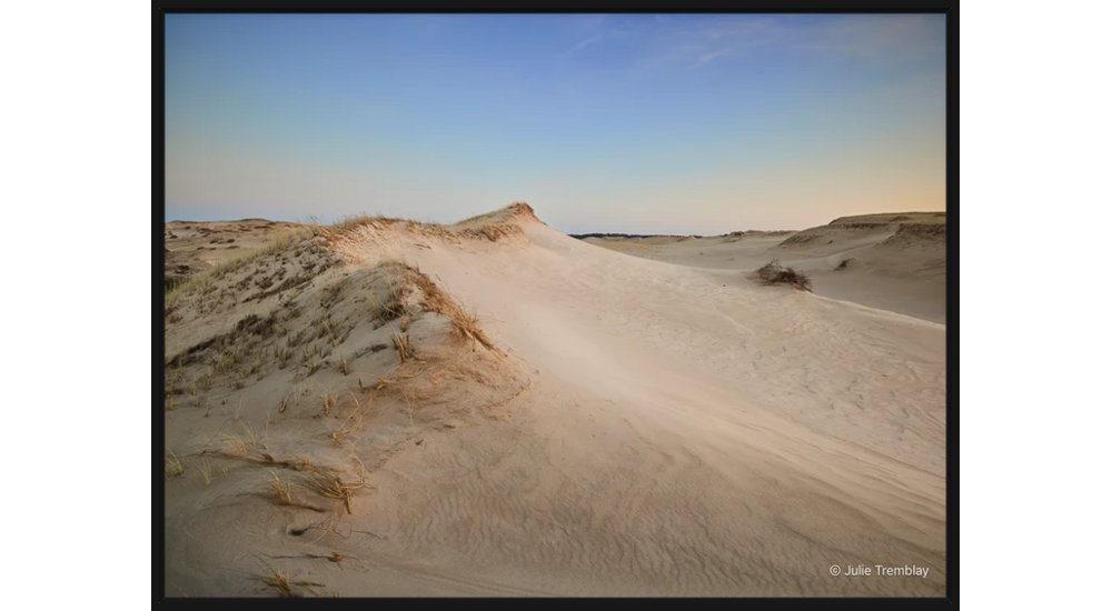 Sand Dune