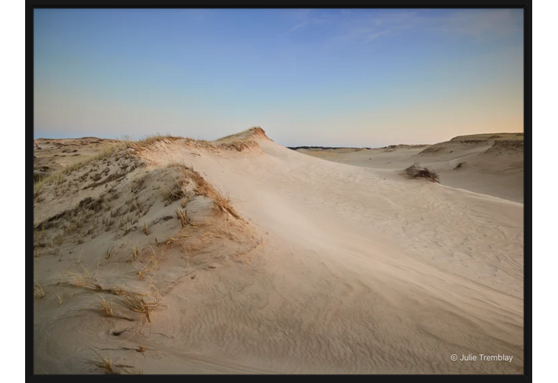 Sand Dune