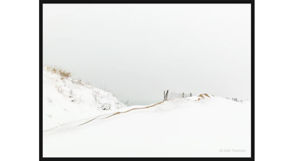 Snowline
