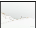 Snowline