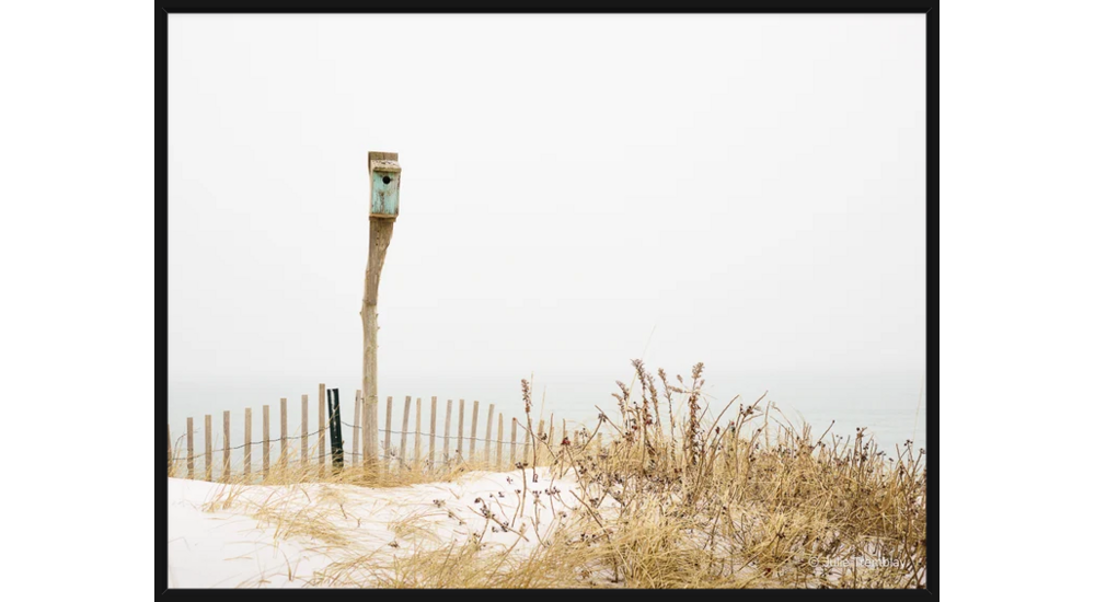 Birdhouse