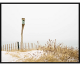 Birdhouse