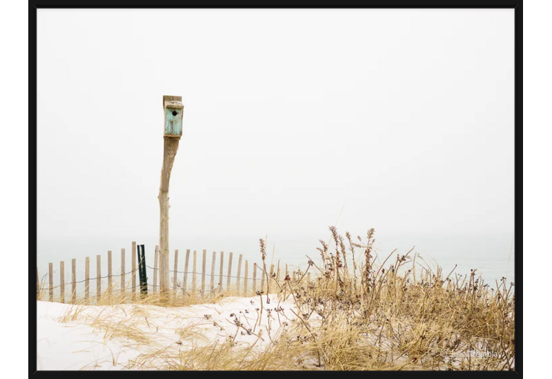 Birdhouse