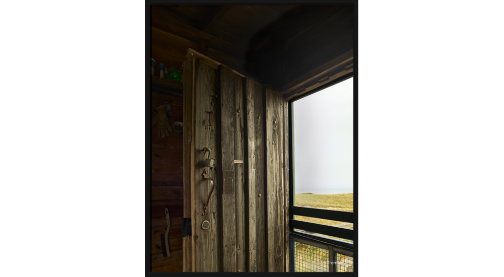 Door /Limited Edition/50