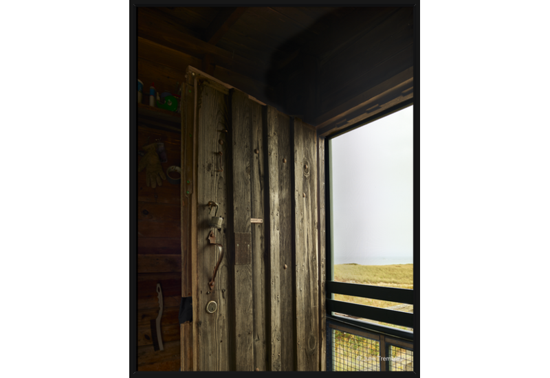 Door /Limited Edition/50
