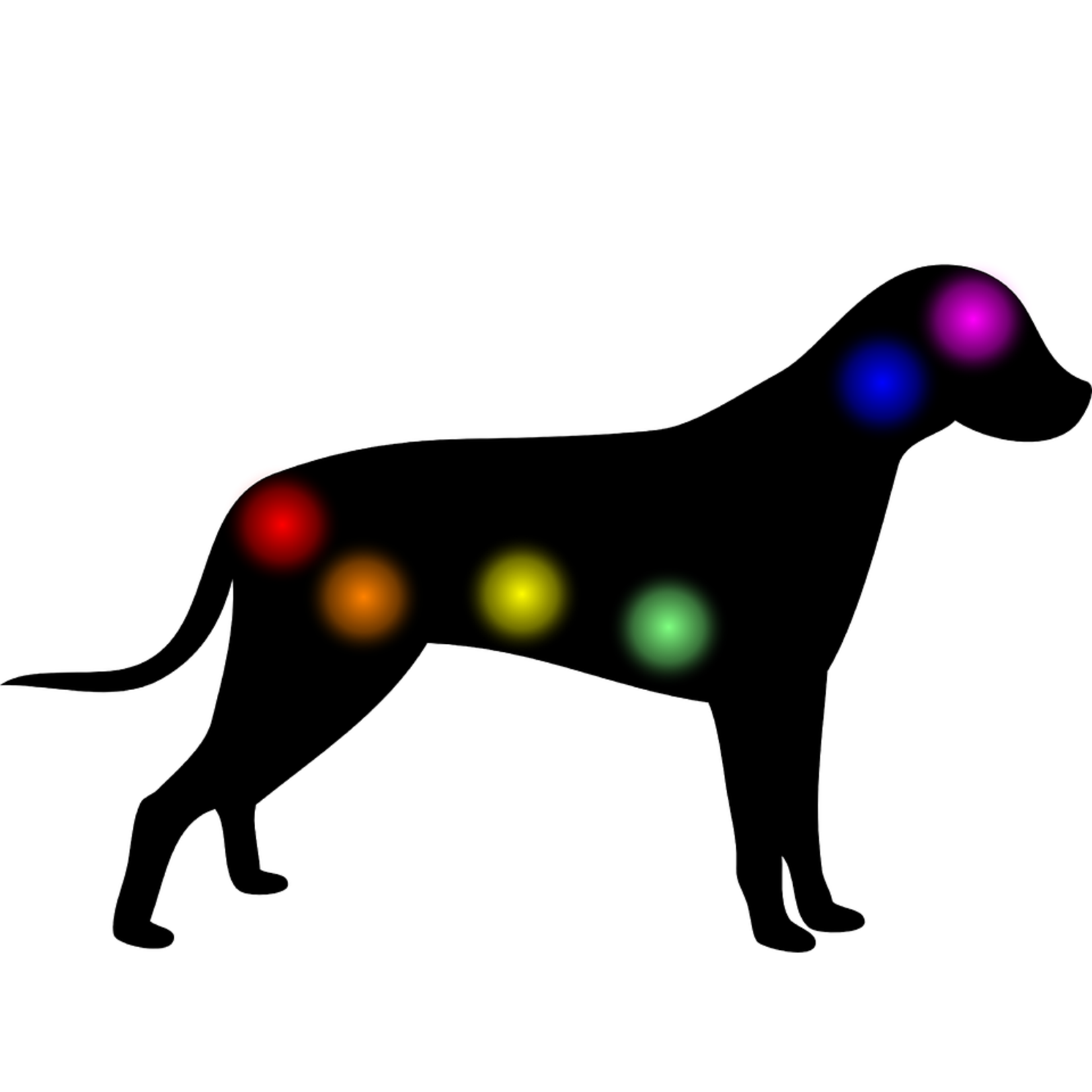Remote Reiki Energetic Treatment for Animals with Lithotherapy and Lecher Antenna