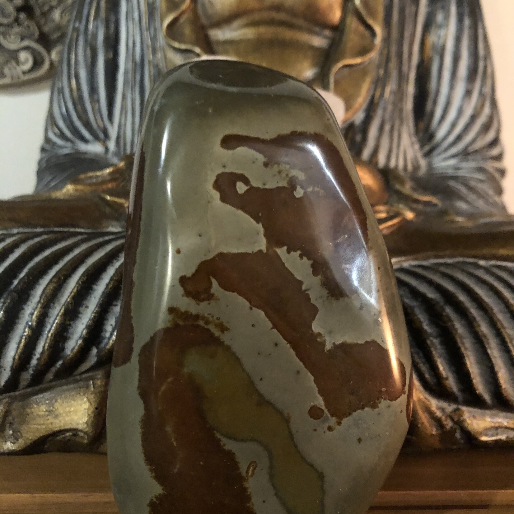 Sculpted Beauty- Large Polished Polychrome Jasper for Harmony and Aesthetic