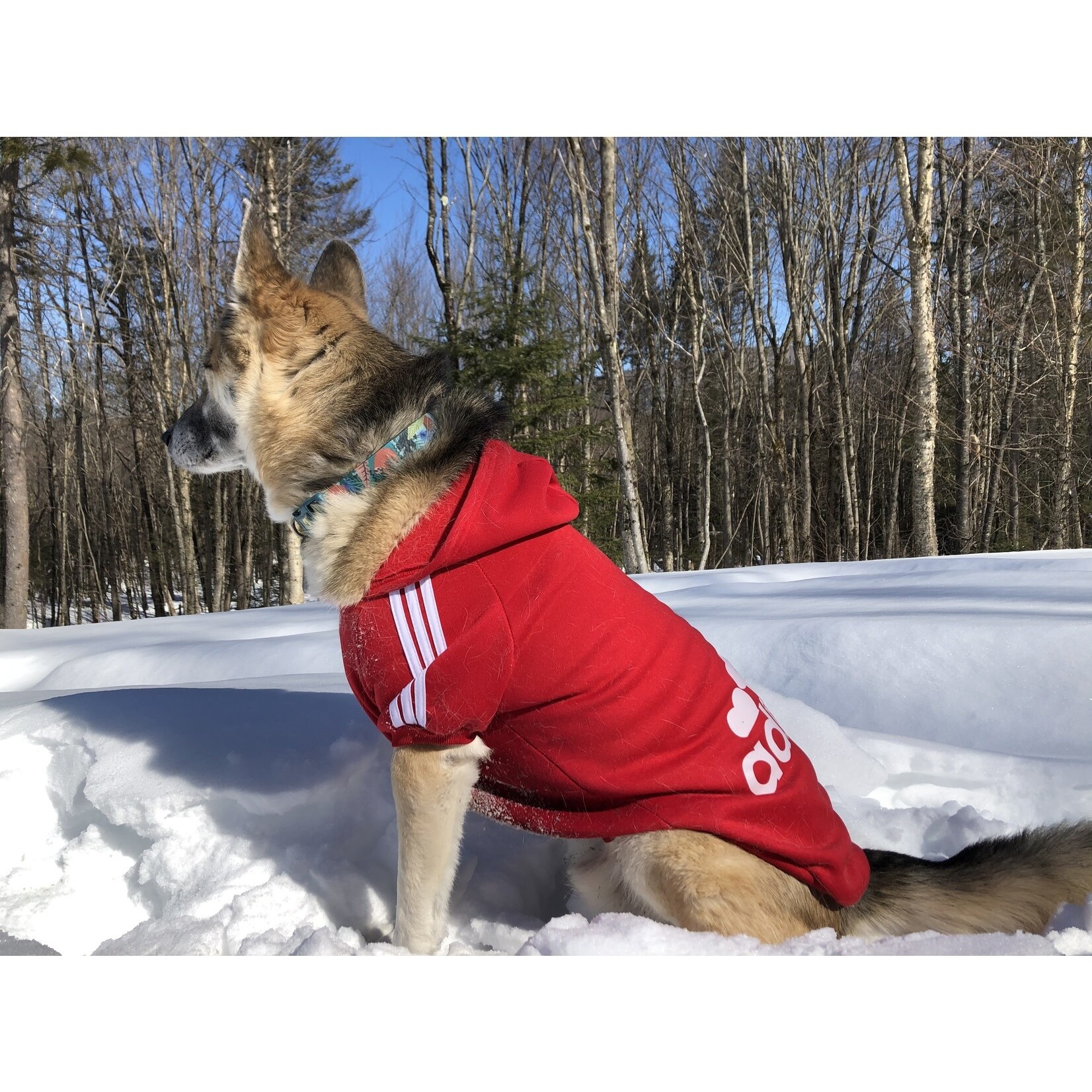 adidog sweater integrated pocket-grey-FINAL SALE