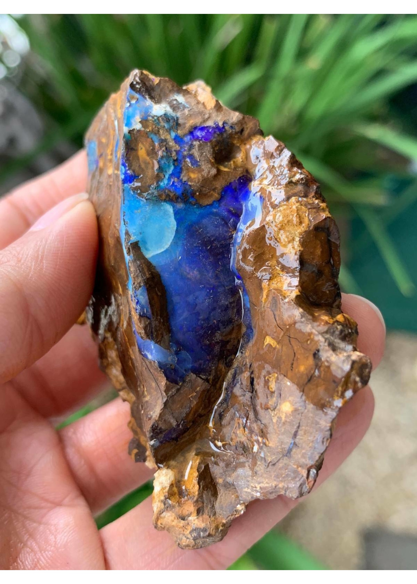 opale boulder rough-double blues