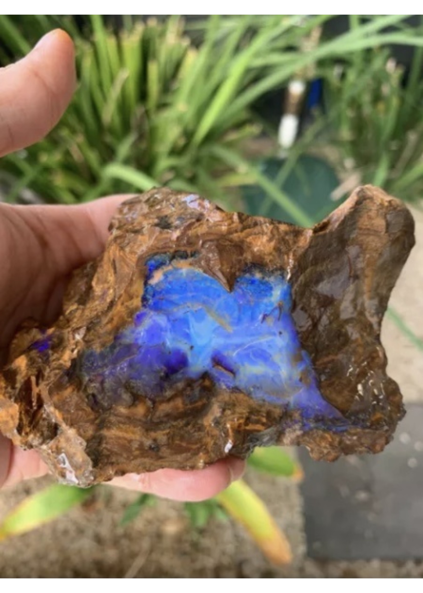 rough boulder opal-bright violet