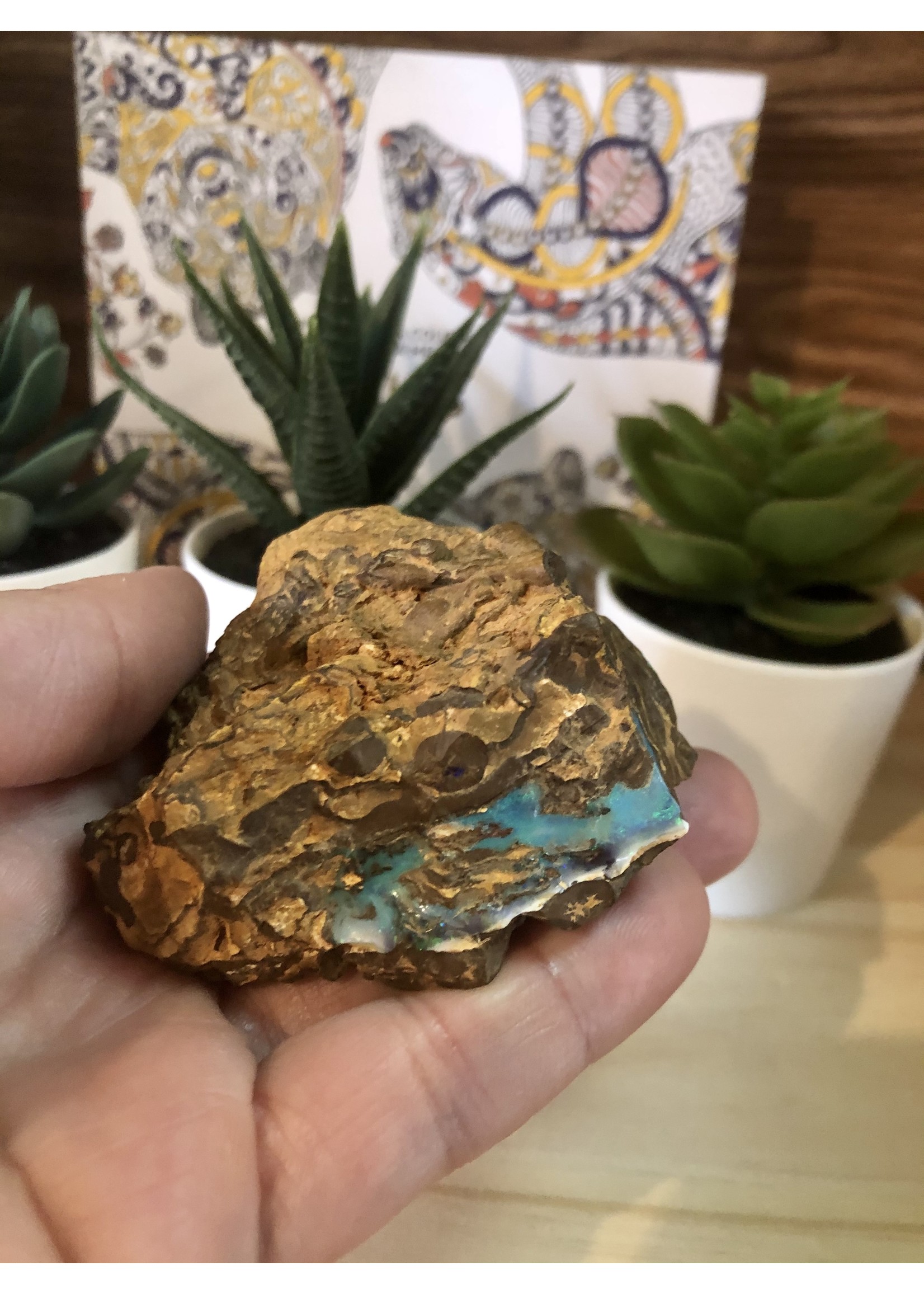 rough boulder opal-gem