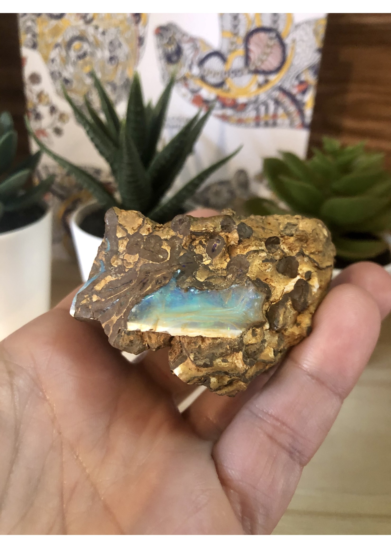rough boulder opal-gem