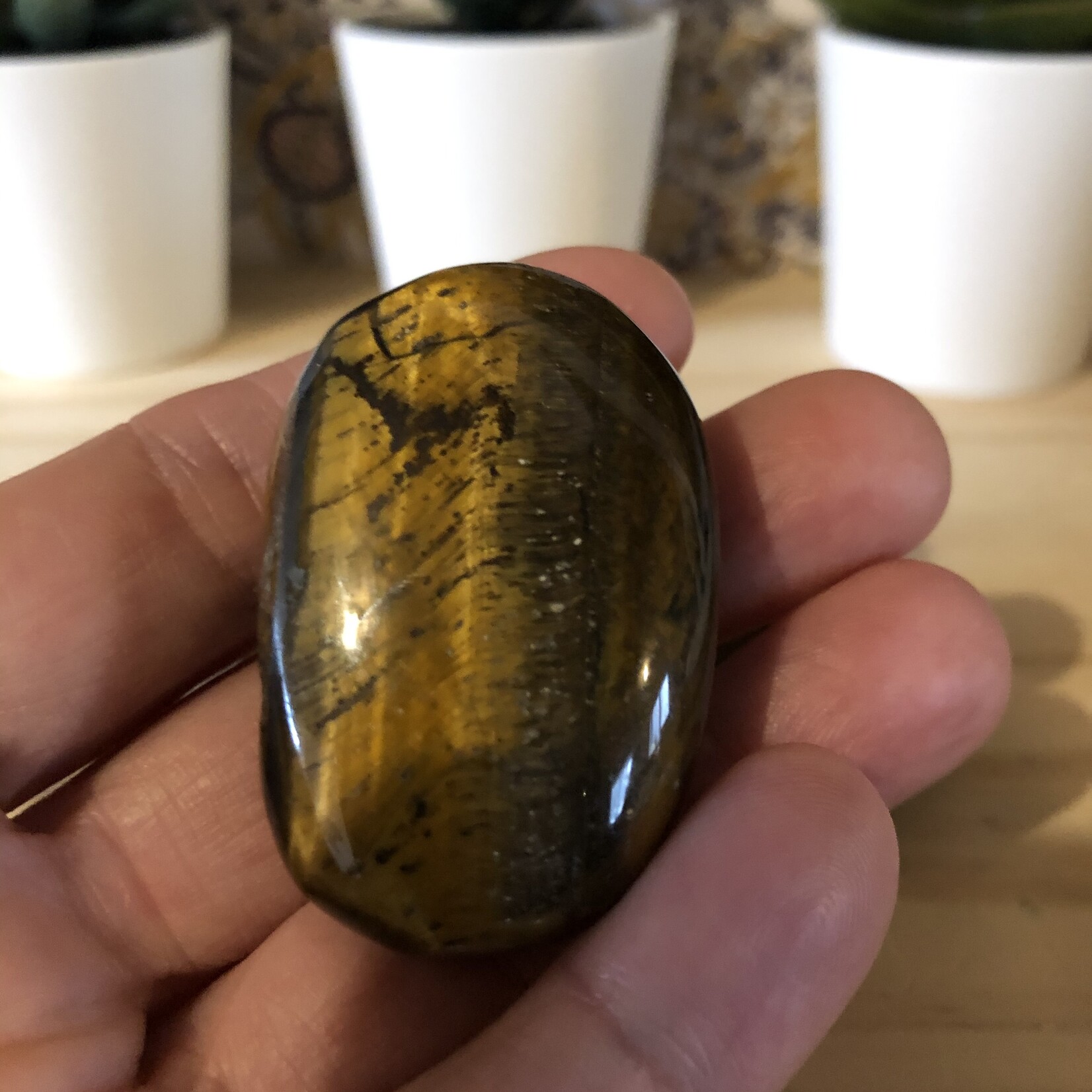 tiger eye -palm
