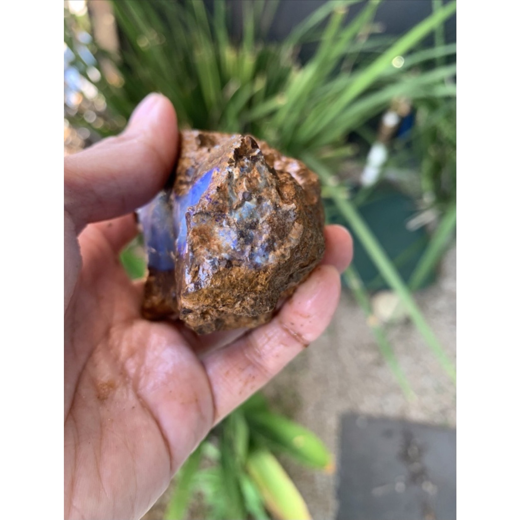 rough boulder opal-lilac