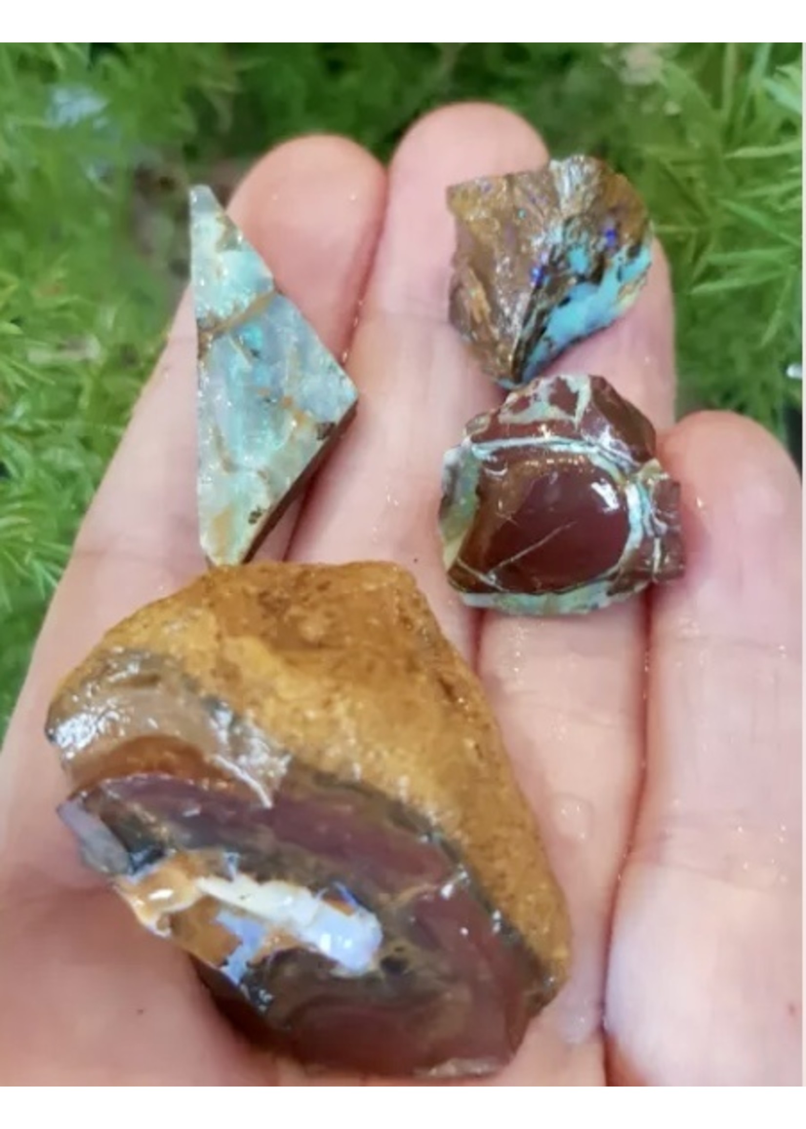 rough boulder opal/ Koroit/Yomah-4 pieces