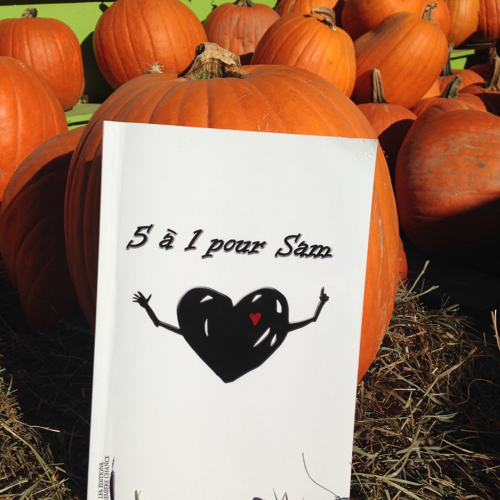 novel 5 to 1 for Sam